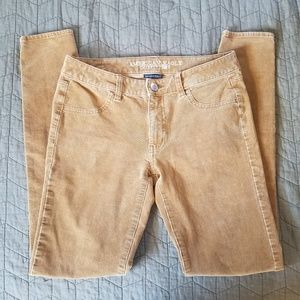 AE Corduroy Jeggings Size 6 Extra Long